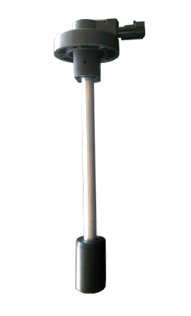 305775